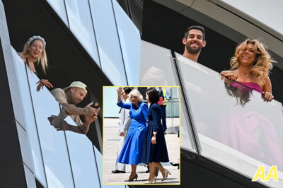 MAFS’ Royal Disaster: Queen Camilla’s Cameo CANCELED After Secret Backlash—‘The Palace HATED It!’